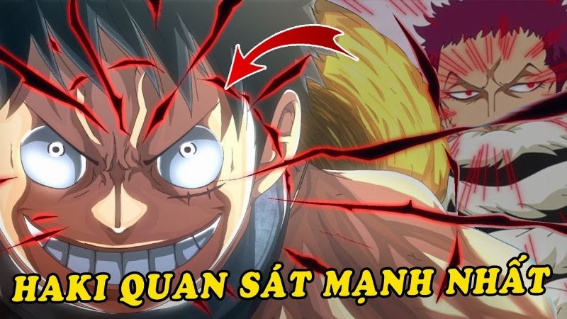 Haki Quan Sát trong One Piece